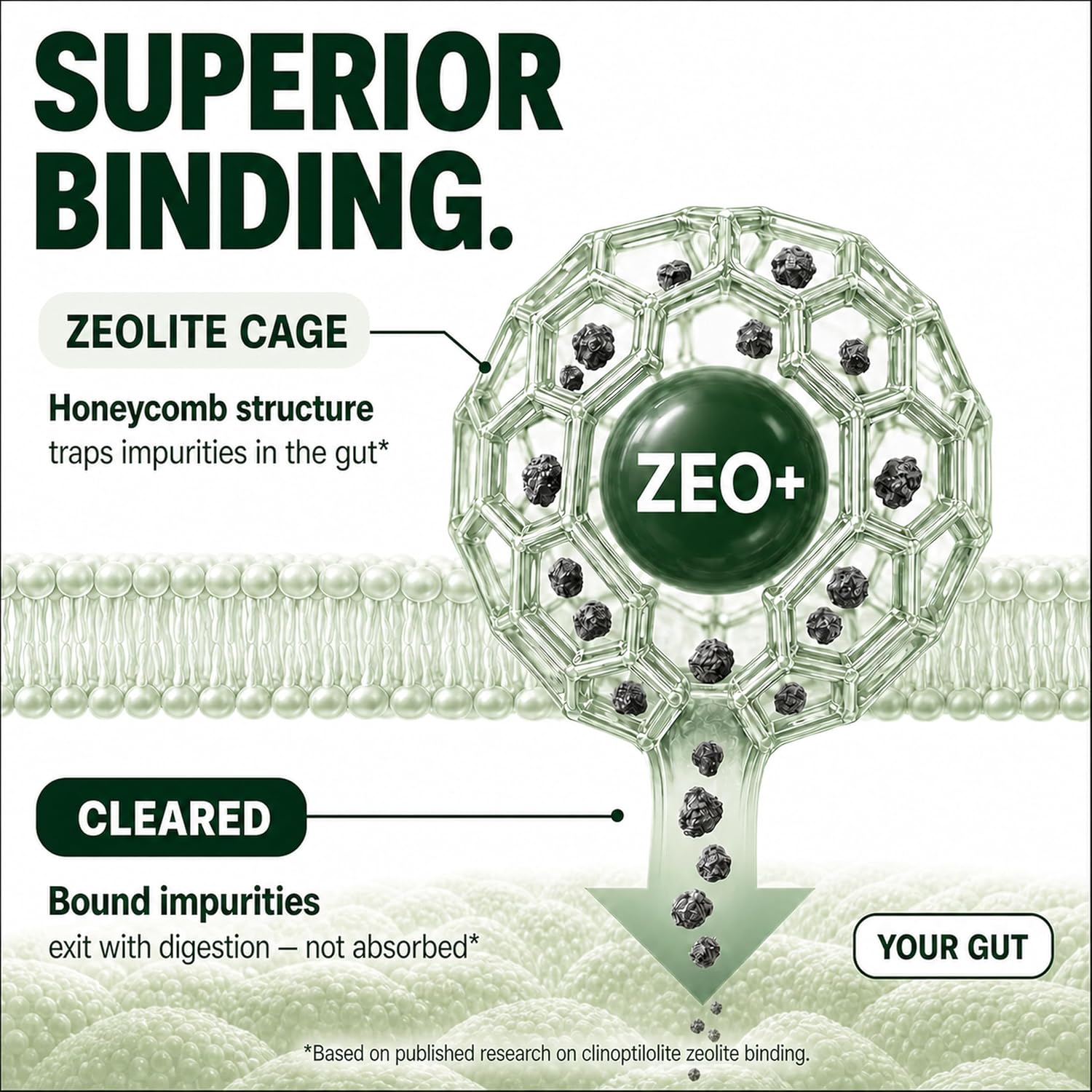 Thumbnail 4 de Zeolite Detox Binder Supplement 60-Count