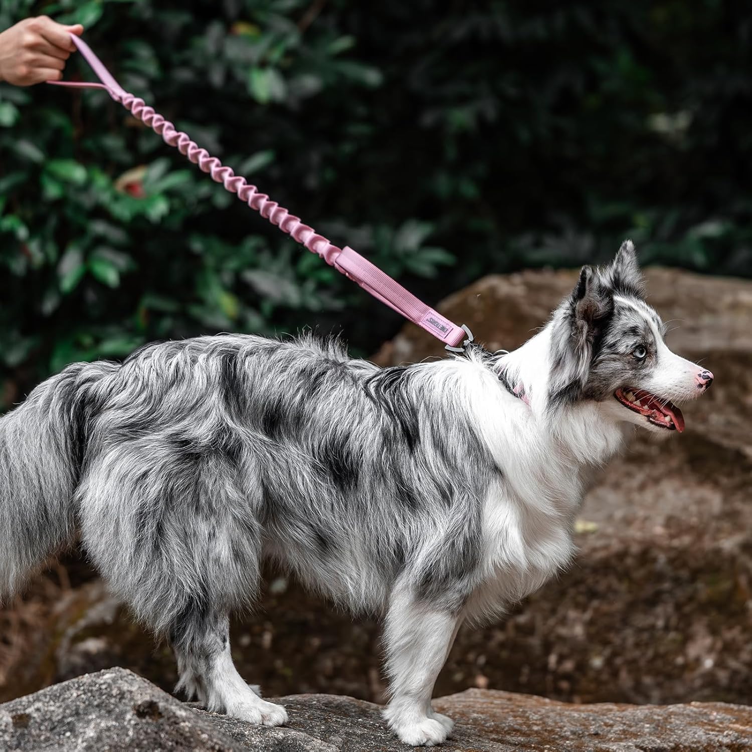 Thumbnail 6 de OneTigris Laisse pour chien à ressort 86–120 cm, nylon résistant avec clip en forme de dent de tigre – rose