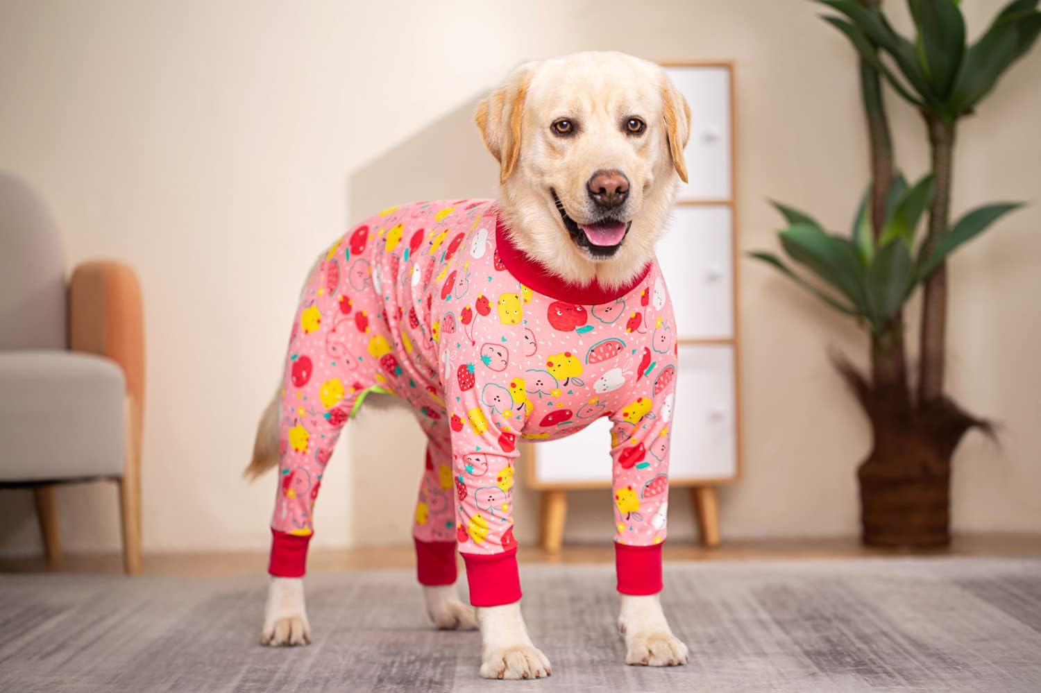 Thumbnail 3 de Cotton 4-Legged Dog Recovery Suit Onesie Pyjamas (Pink fruit) — anti-hair shedding jumpsuit for small/medium/large dogs