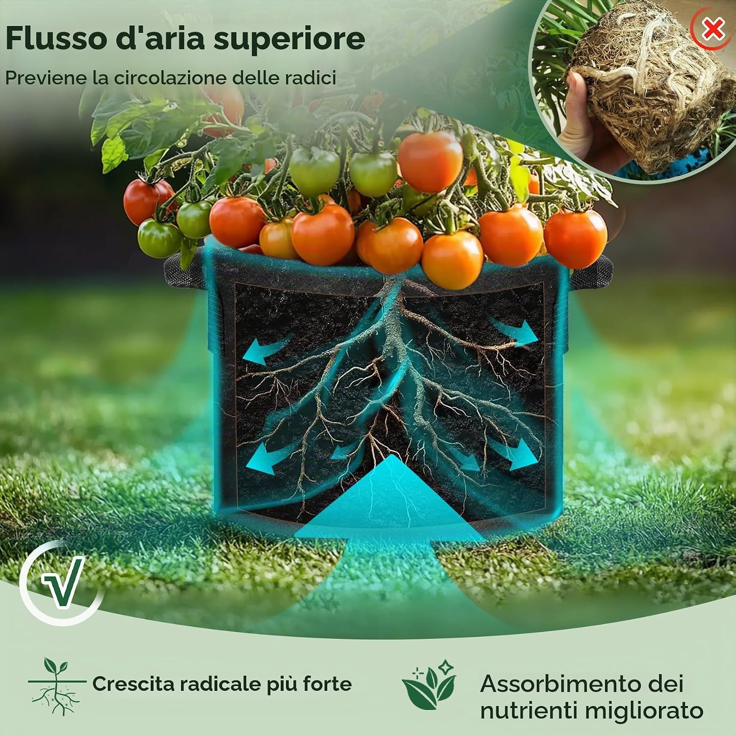 Thumbnail 3 de T4U Set 5 Grow Bag 56L: sacche per orto domestico per balcone e giardino, 5 pezzi
