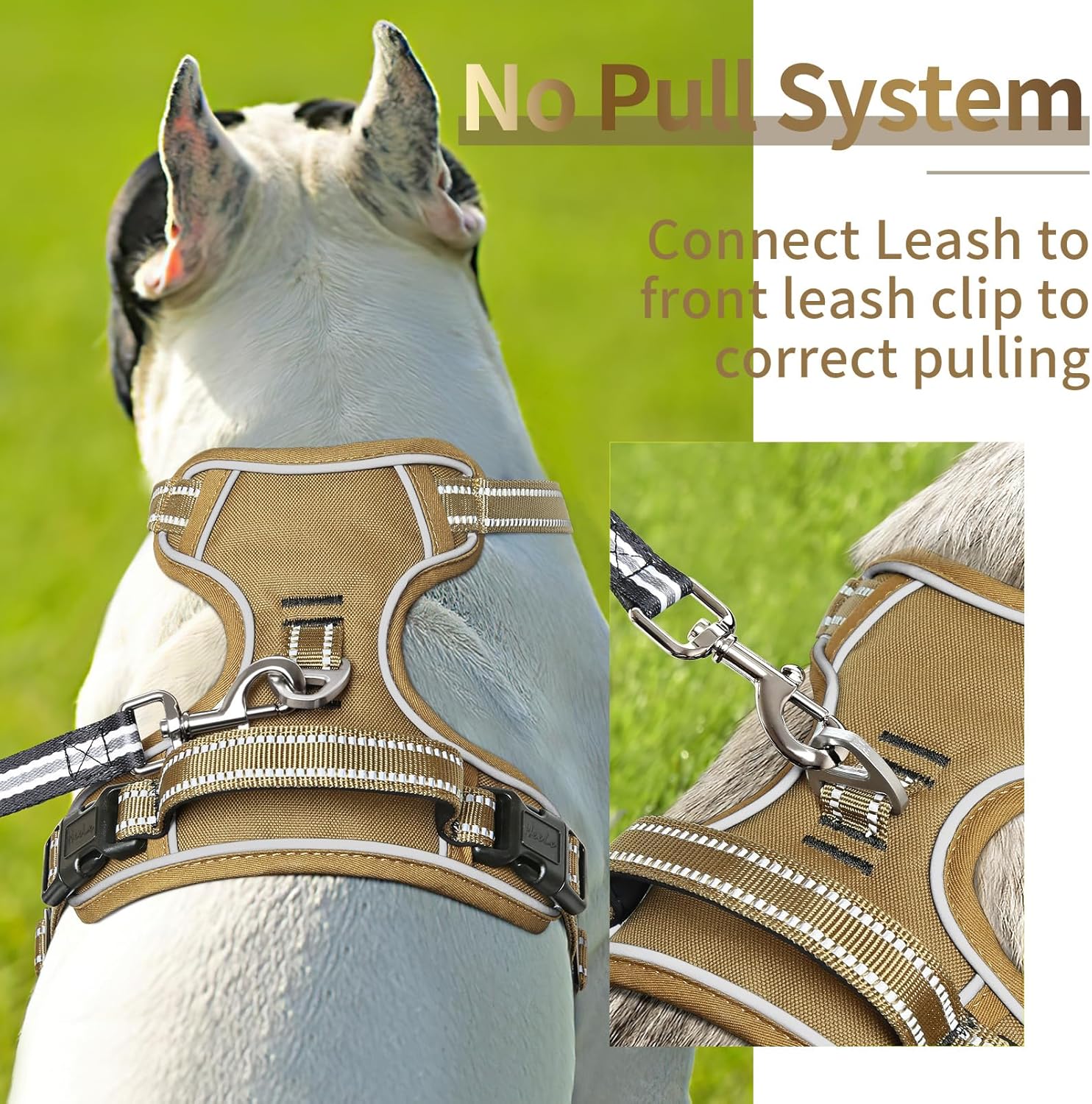 Thumbnail 5 de HEELE Dog Harness L adjustable no-pull padded harness