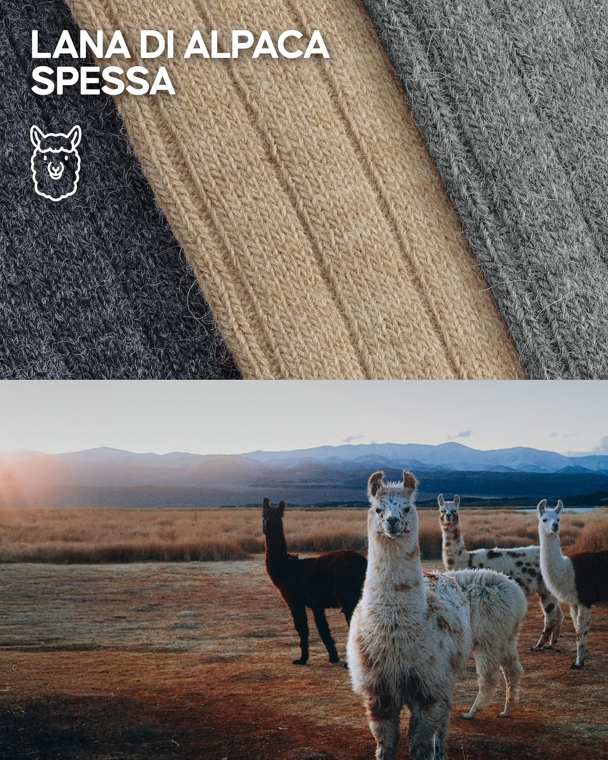 Thumbnail 4 de DANISH ENDURANCE Calze Lana Alpaca 2 paia