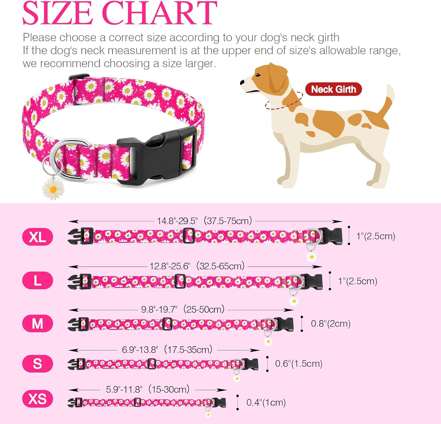 Detalle de BiPawTi Dog Collar, XL