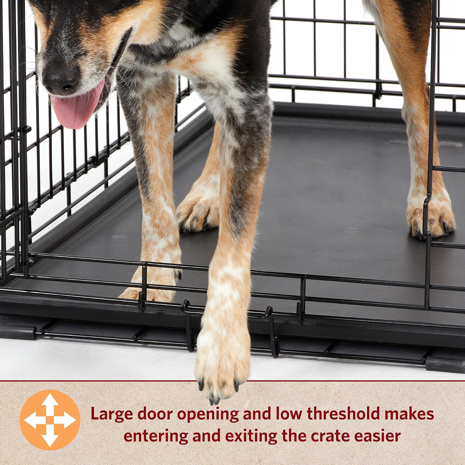 Detalle de MidWest Homes for Pets LifeStages XS 22-Inch Folding Dog Crate, Double Door