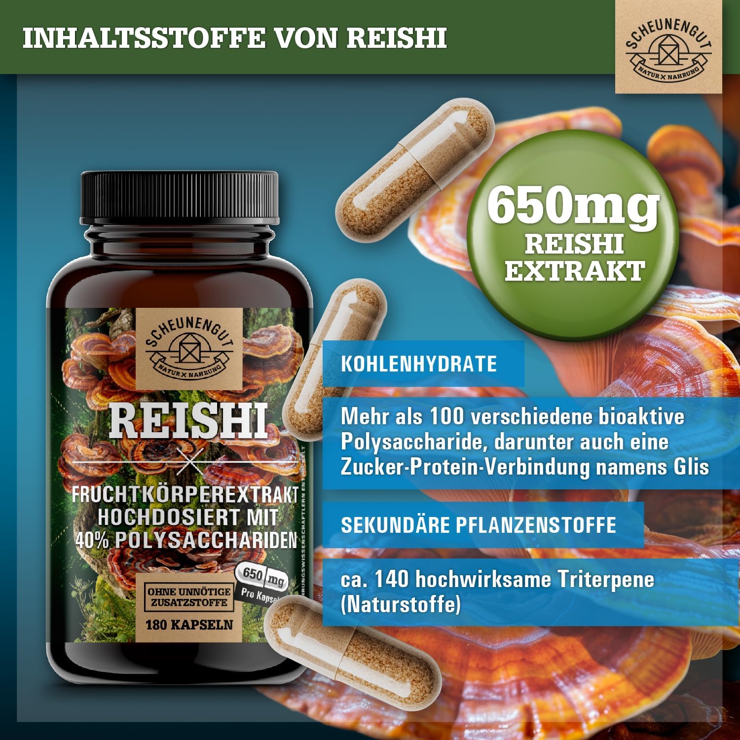Detalle de Reishi 1950mg Kapseln 20:1 Extrakt 🍄