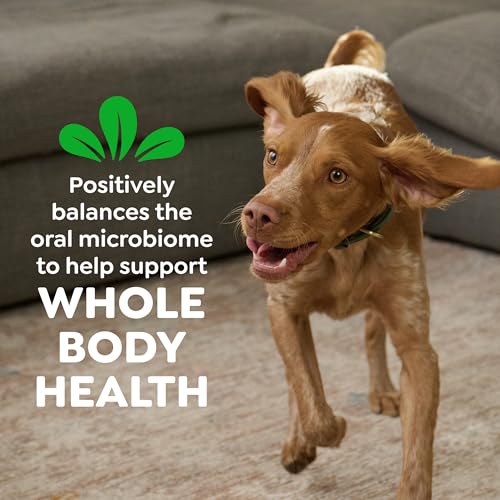 Thumbnail 8 de Greenies Teenie Original Natural Dental Dog Treats, Chicken — 43 Count