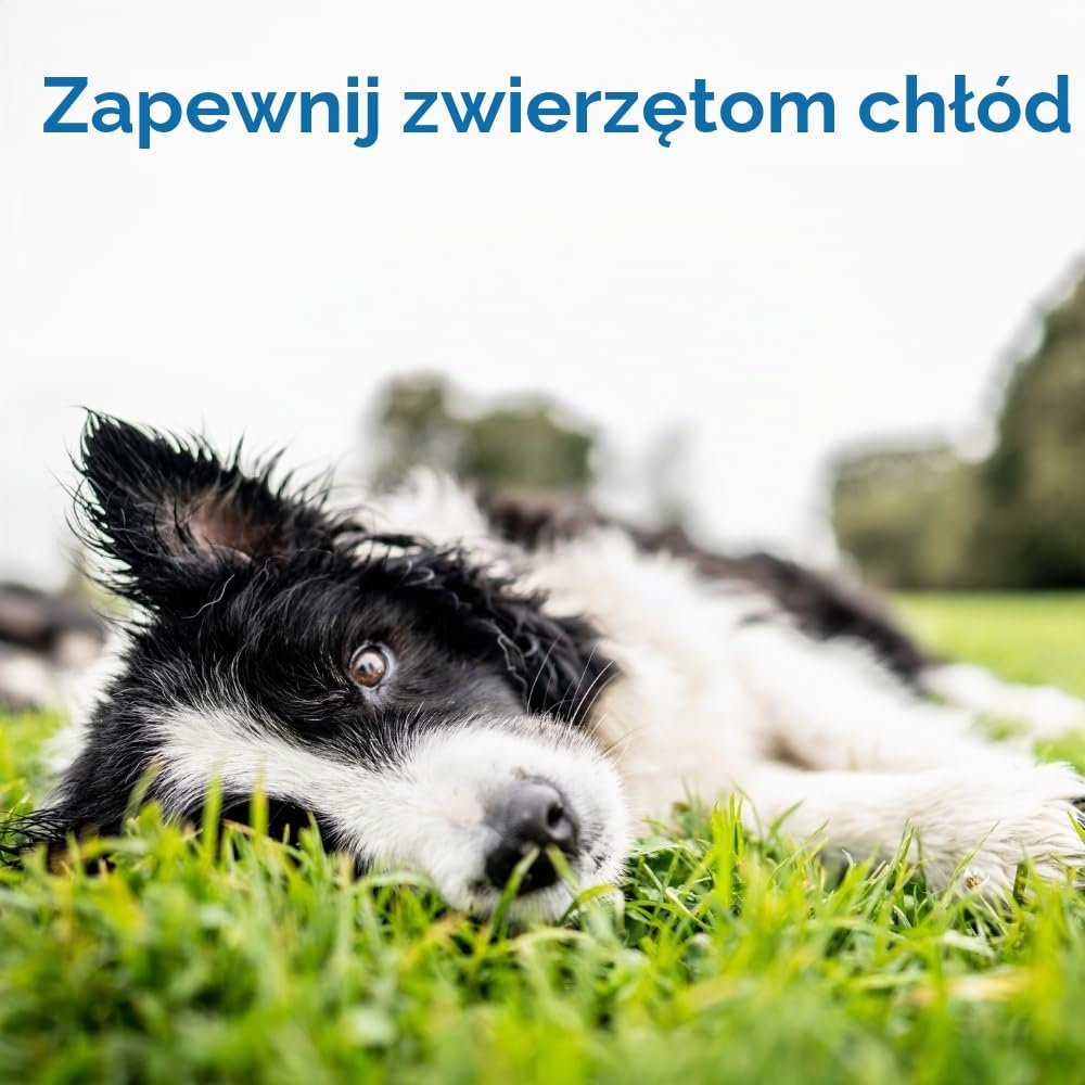 Detalle de TheGreenPetShop żelowa mata chłodząca dla psa 76,2 × 50,8 cm