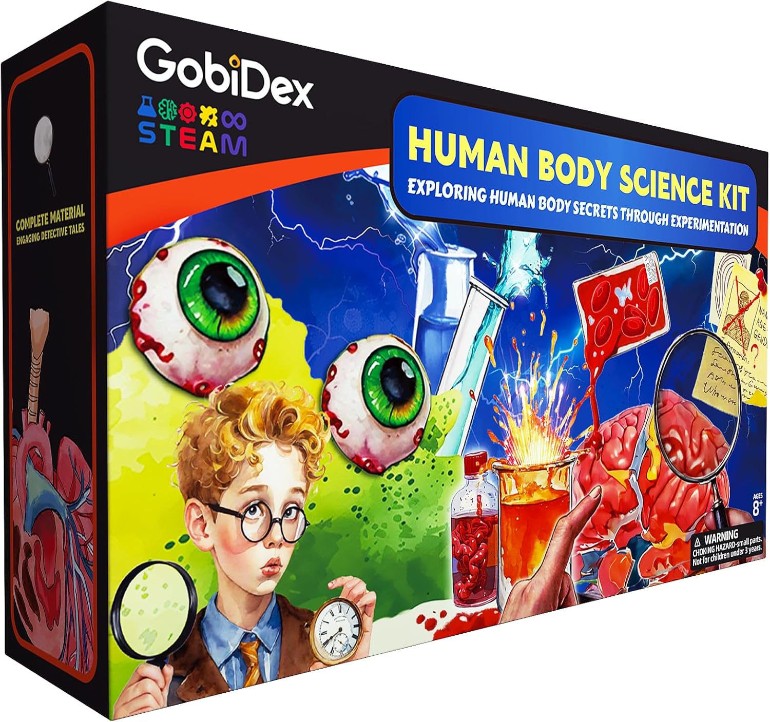 Thumbnail 6 de GobiDex Human Body Skeleton Model Kit (40-Piece) — Glow-in-the-Dark Anatomy STEM Figure