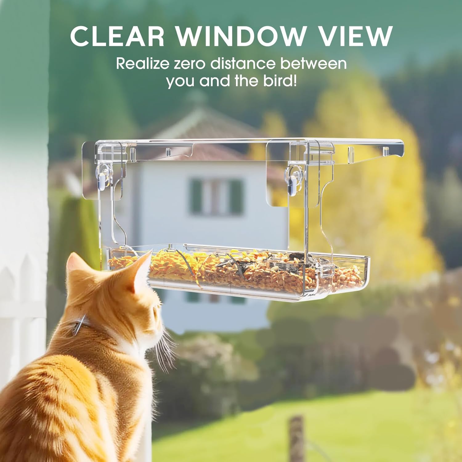 Thumbnail 4 de SUNALLY Window Bird Feeder, 100% Clear