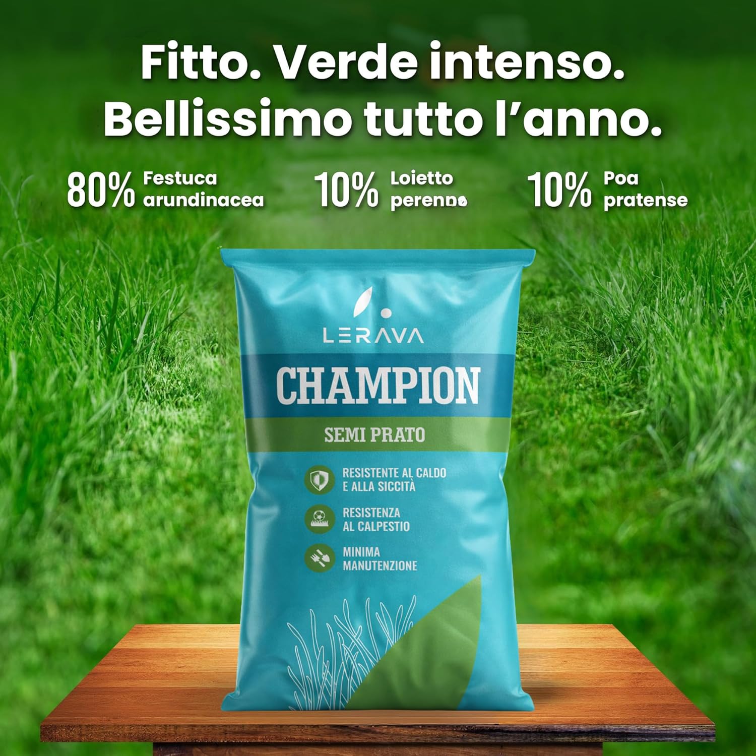 Detalle de LERAVA CHAMPION semi prato (30m²) – Festuca arundinacea di qualità per un prato verde intenso