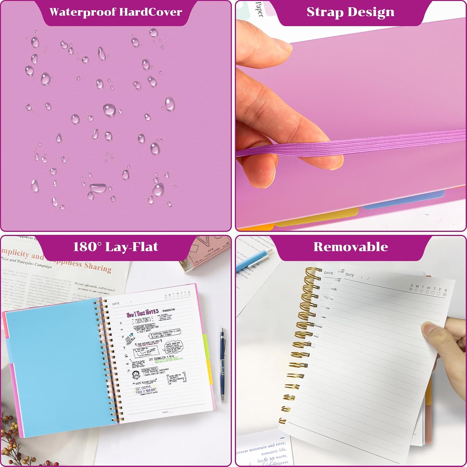 Thumbnail 3 de MOFELON A4 Notebook with 5 Dividers – Purple, 240 Pages, 100gsm, PVC Cover