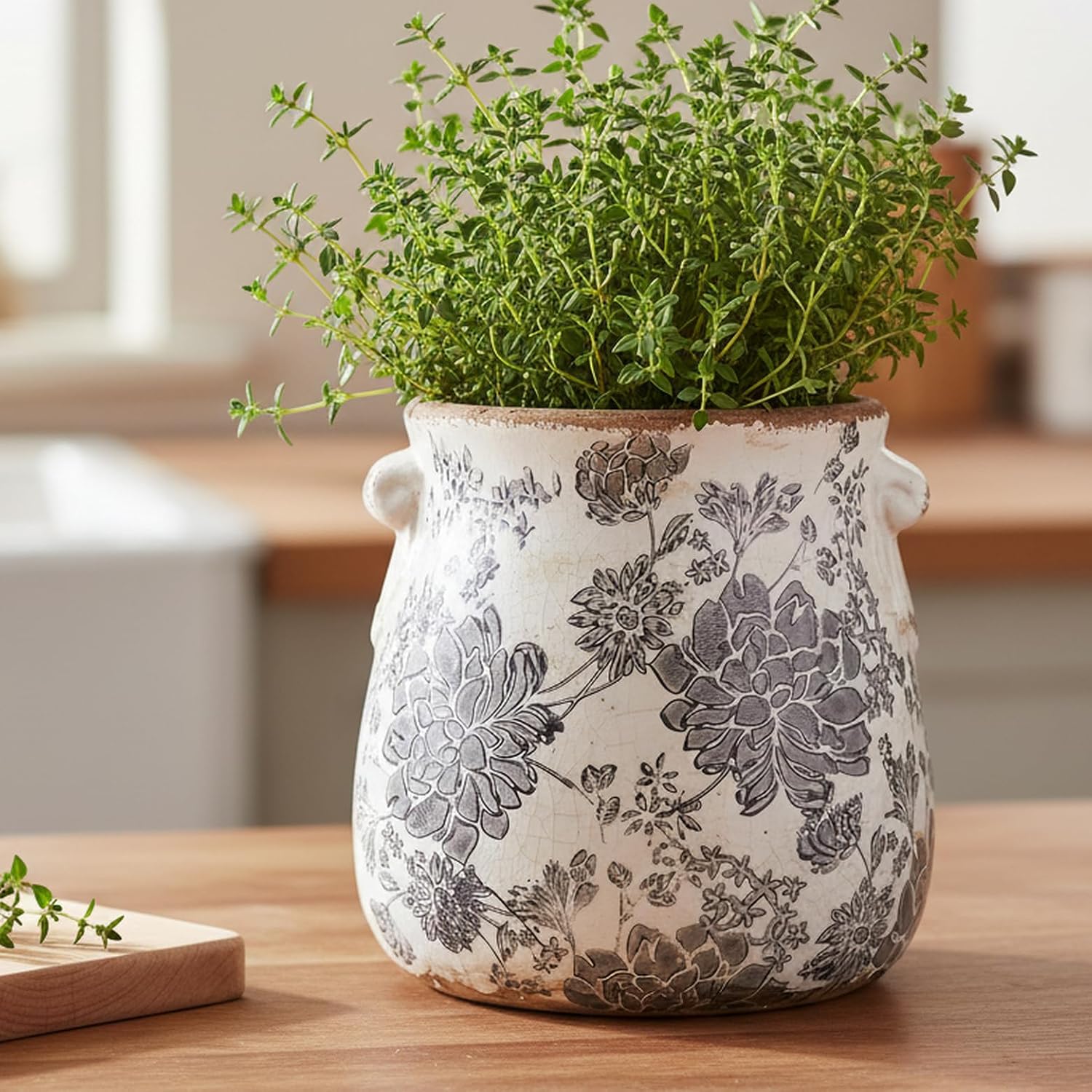Detalle 2 de Xiaan Jiaju Tuscan Ceramic Planter & Vase, Grey Pot with Drainage