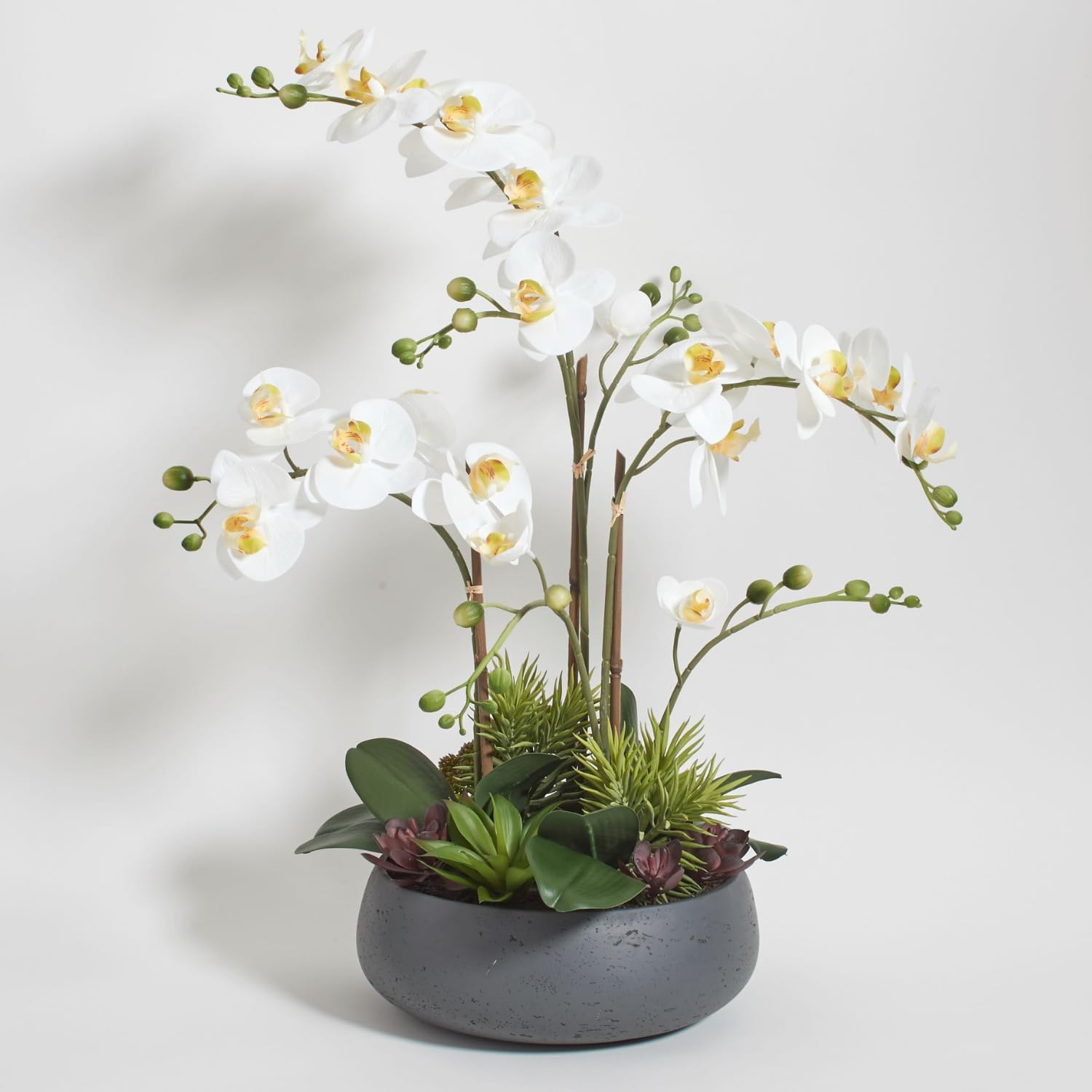 Detalle de CG Hunter ORC-23017 Faux Orchid Plant with Succulents, 24-Inch Gray Planter