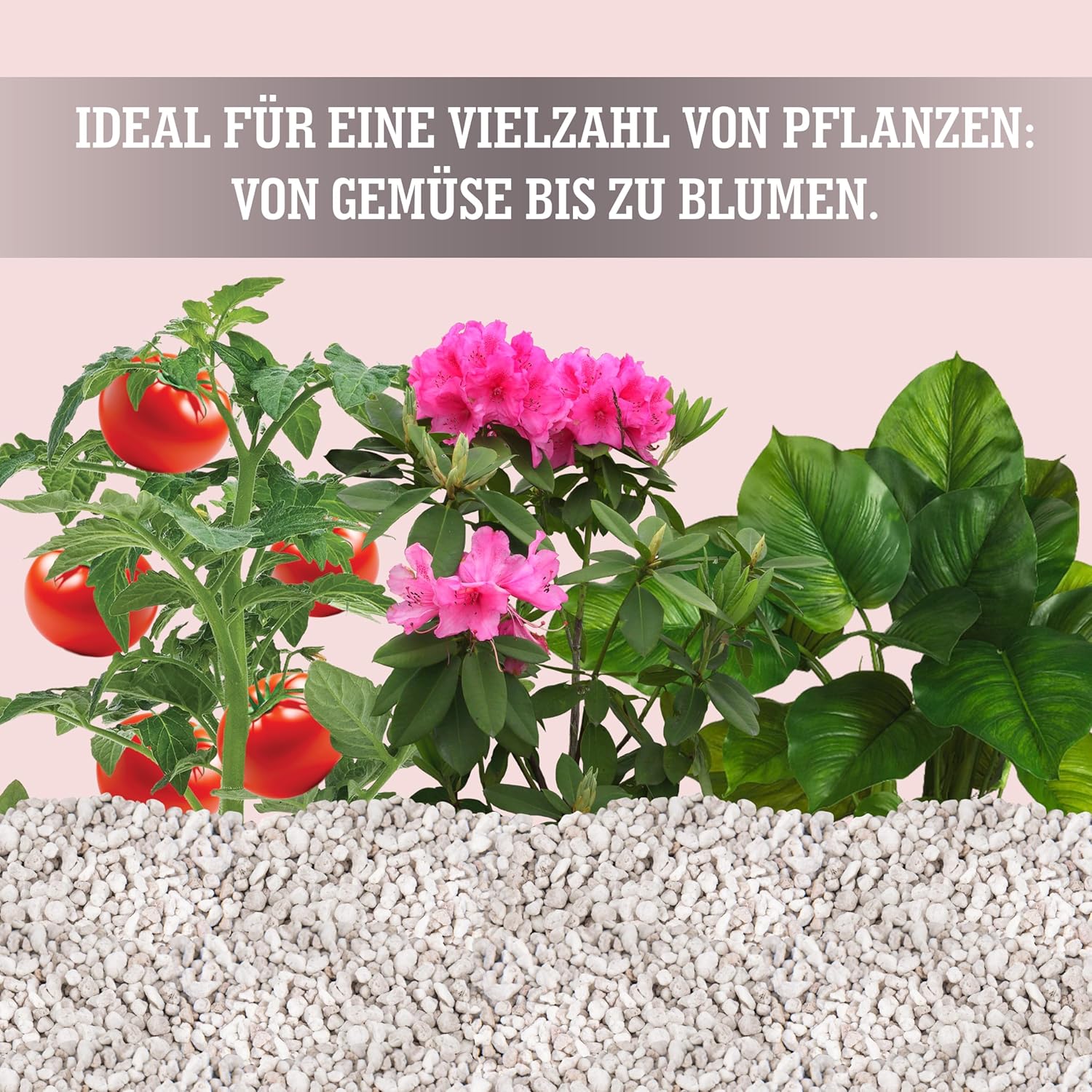 Thumbnail 5 de LERAVA® Perlite für Pflanzen (8L) – Grobkörniger Perlit zur Bodenverbesserung