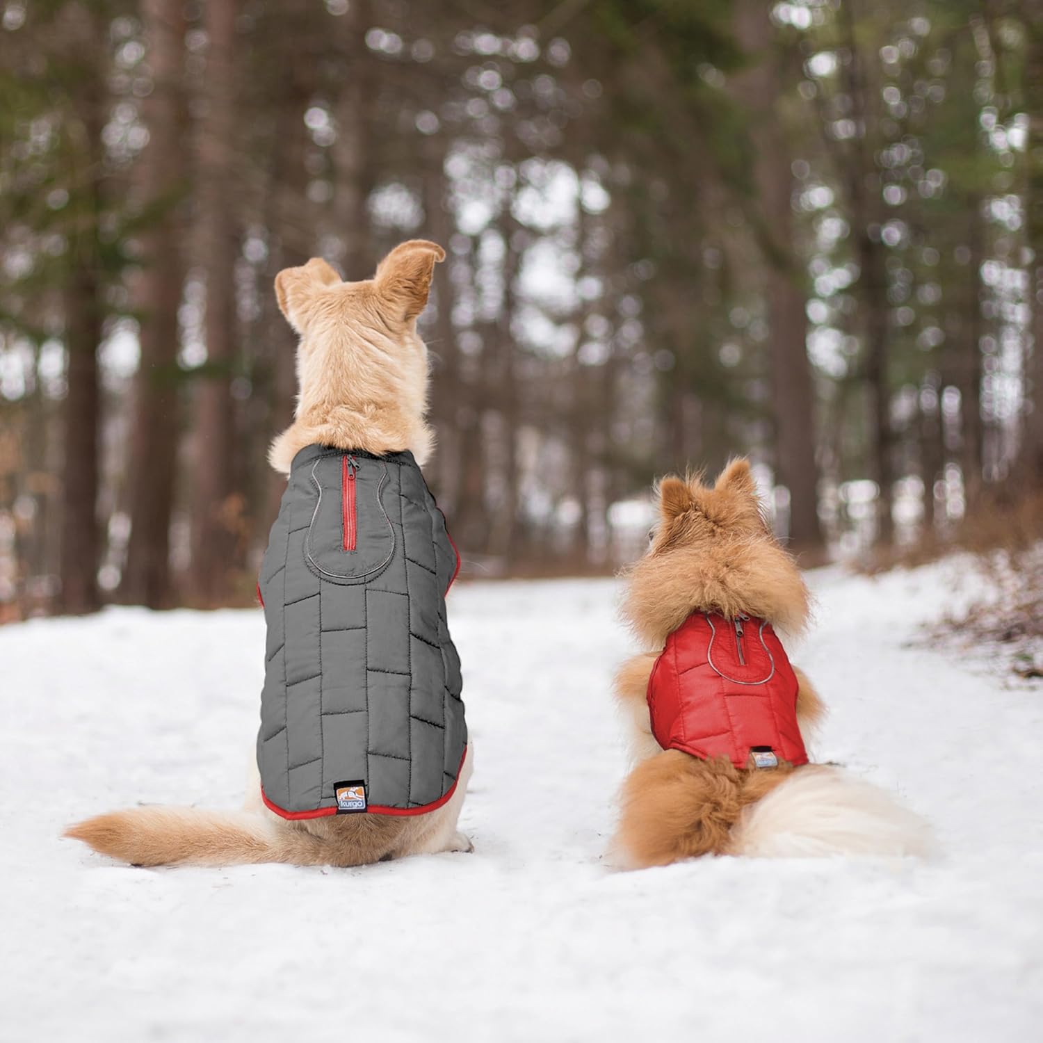 Thumbnail 6 de Kurgo Loft Hundejacke XL wasserdicht đ