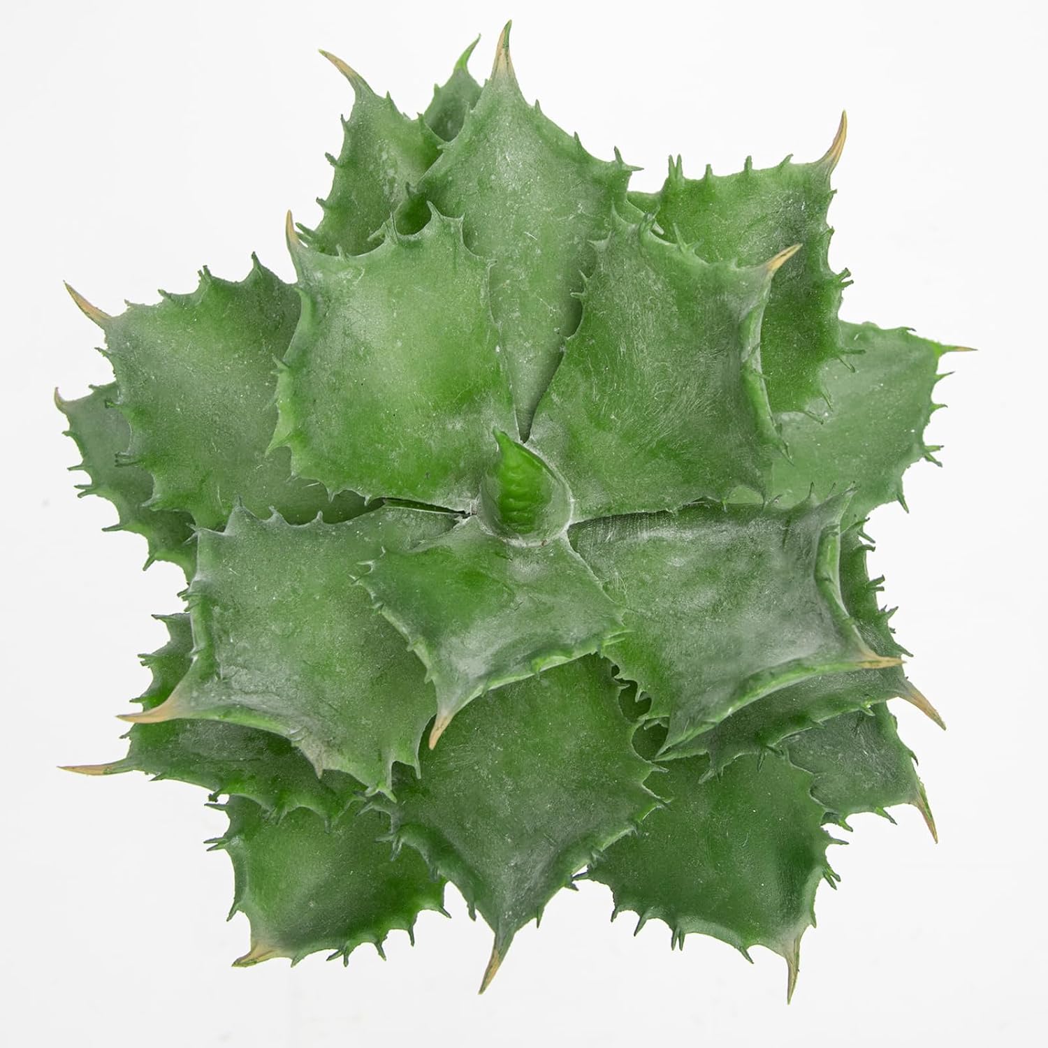 Detalle de Hollyone 8.6" artificial agave for home decor