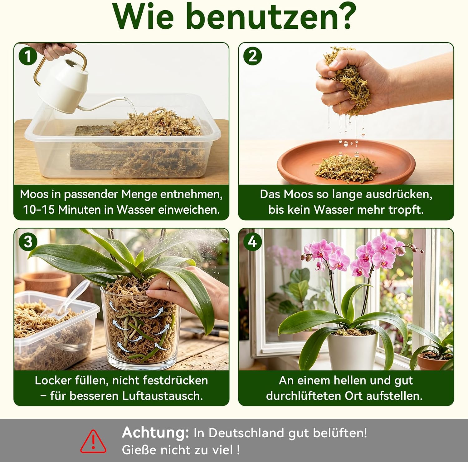 Thumbnail 5 de Halatoo Sphagnum Moos 170 g für Orchideen und Pflanzen