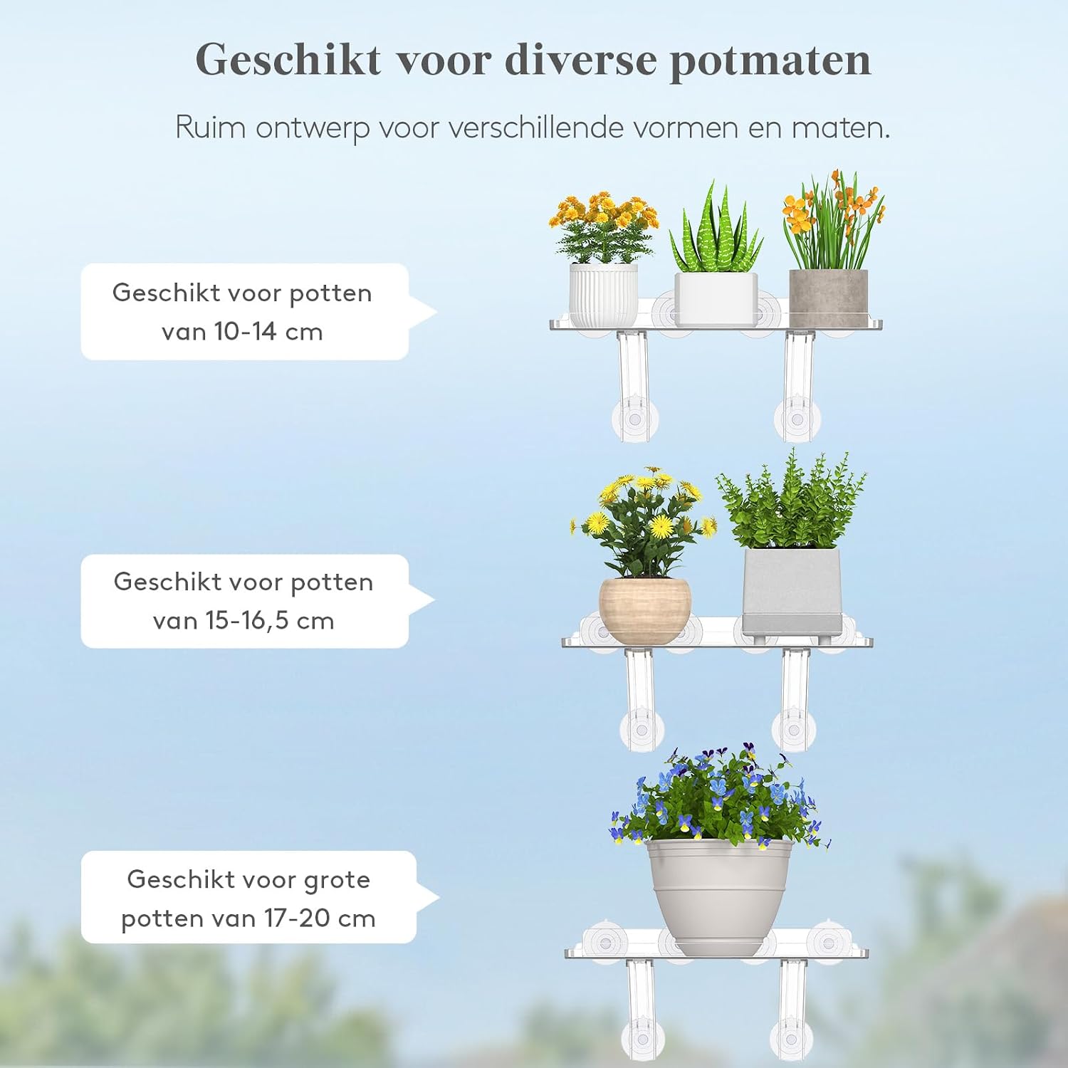 Detalle 2 de Lifewit 25075 plantenplanken voor het raam, 2 stuks met zuignappen