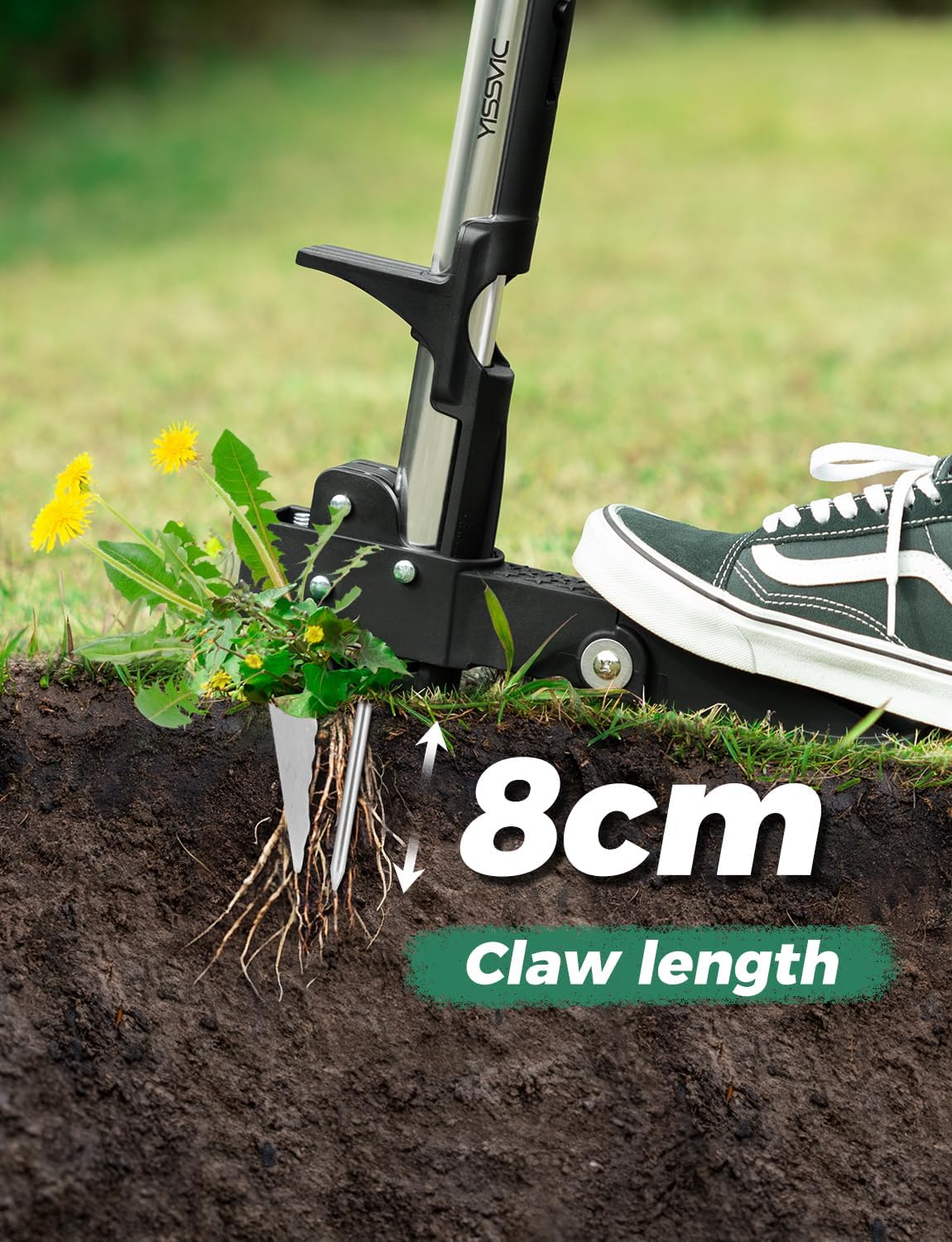 Detalle 2 de YISSVIC Stand-Up Weed Puller with 4 Claws – Adjustable Telescopic Stainless Steel Root Remover