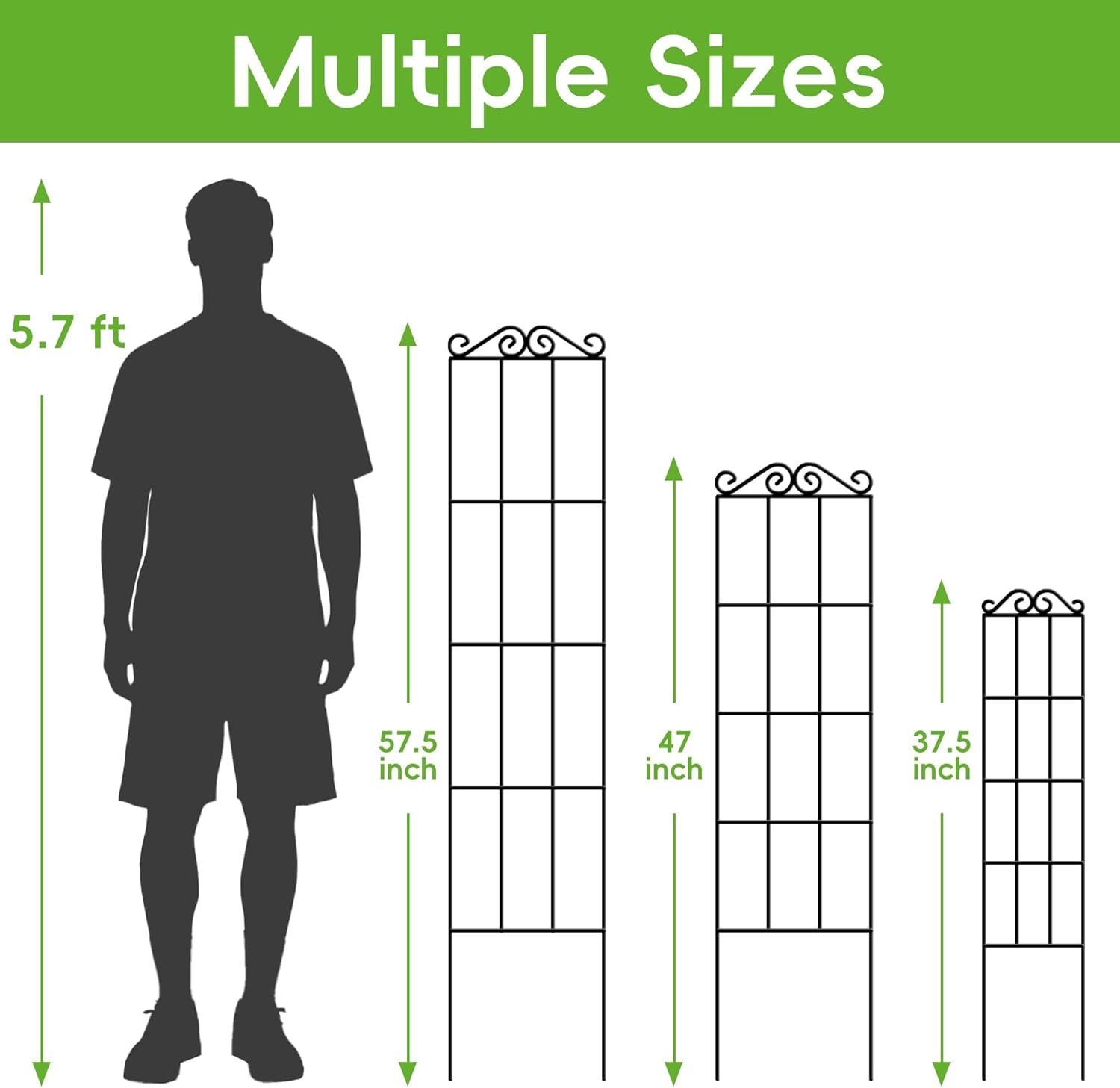 Thumbnail 1 de ARIFARO 147cm / 58" Metal Garden Trellis (Pack of 4) for Climbing Plants