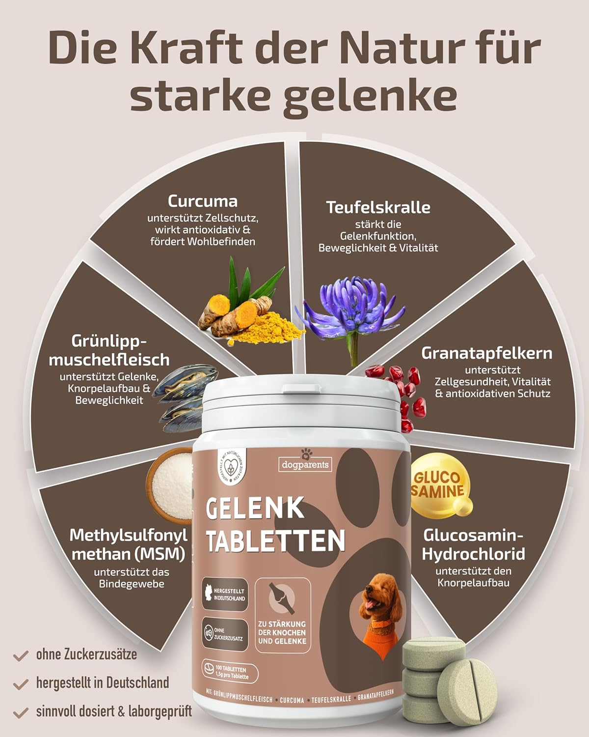 Thumbnail 2 de Gelenktabletten für den Hund – Dogparents, zuckerfrei & laborgeprüft (Grünlippmuschel, MSM, Glucosamin u. a.), 150 g