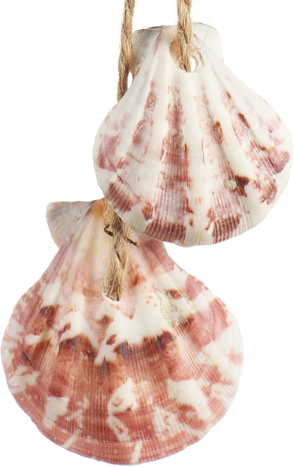Detalle 2 de COM-FOUR® 3X décoration maritime 35 cm