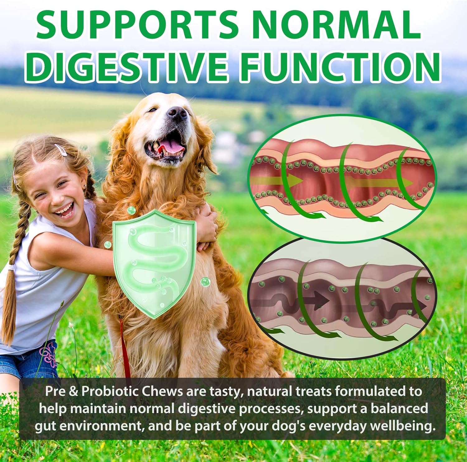 Thumbnail 2 de Probiotici per cani 60 masticabili