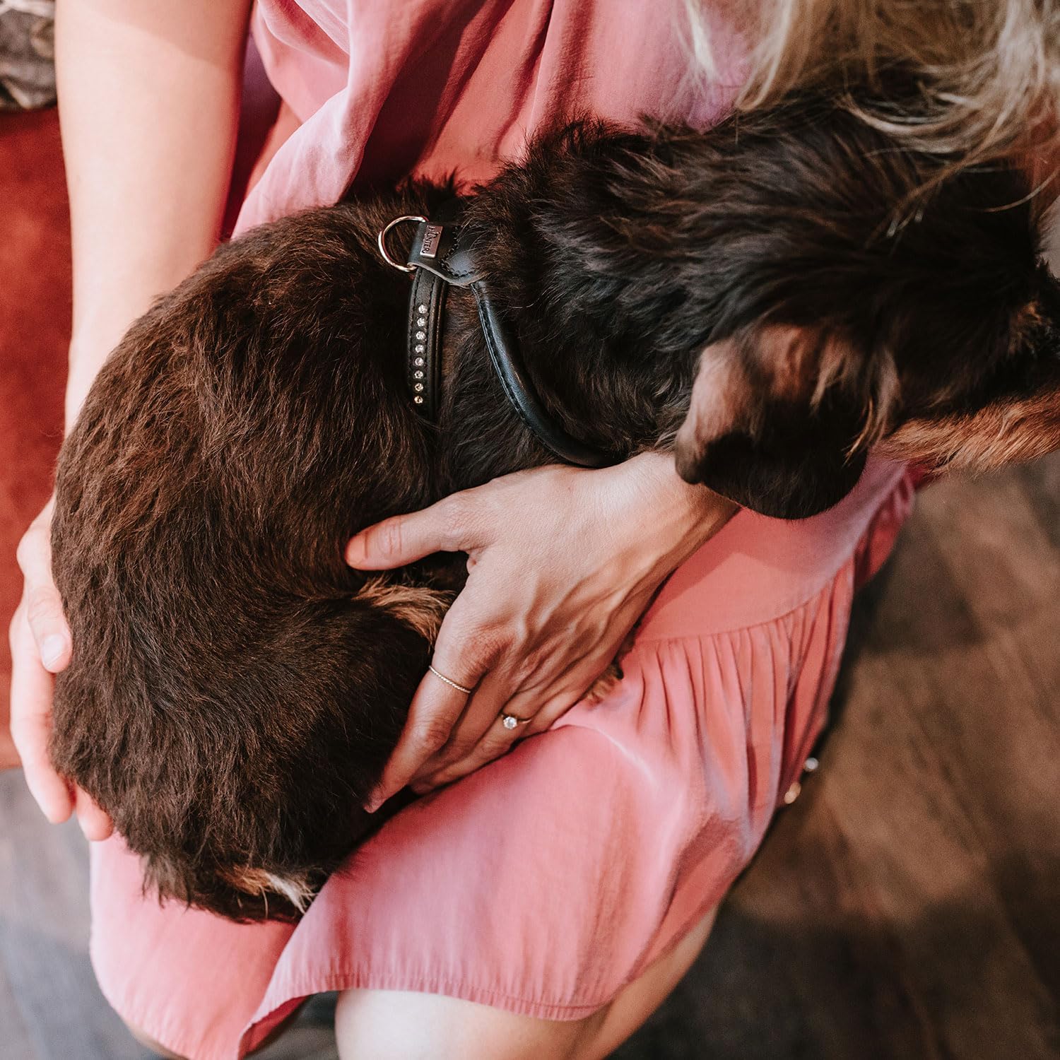 Thumbnail 6 de Hunter Round & Soft Canadian UP Hundegeschirr aus Leder (schwarz) – Größe S/2