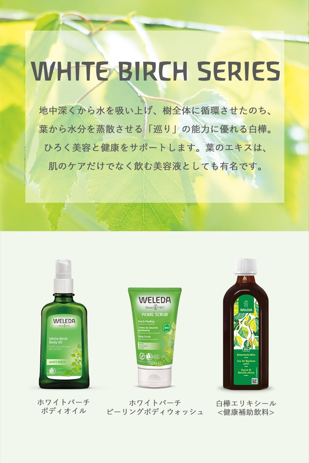 Thumbnail 6 de ヴェレダ 7569CH ホワイトバーチ ボディオイル 100mL 白樺葉エキス配合・グレープフルーツの香り
