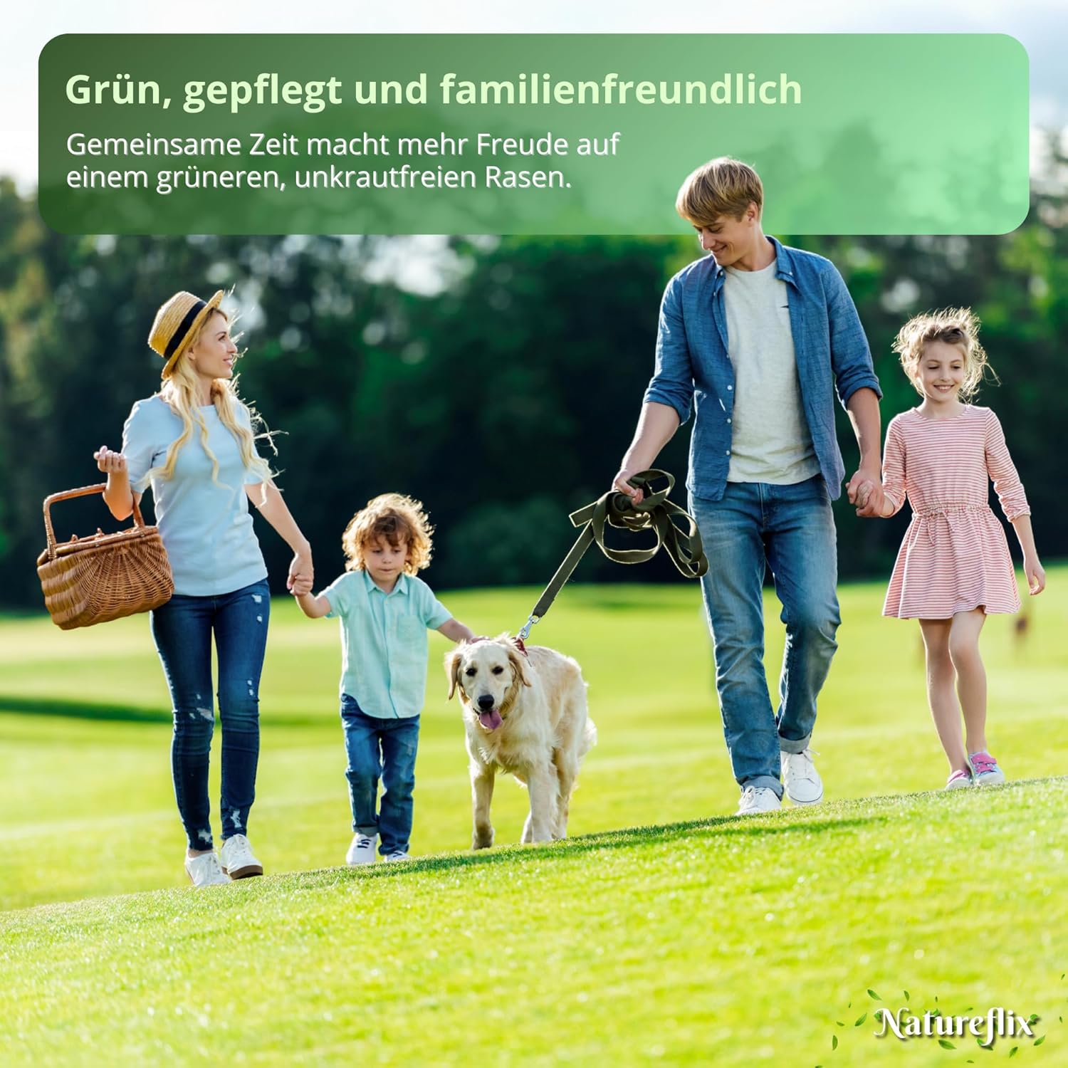 Thumbnail 6 de Natureflix Rasendünger mit Unkrautvernichter extra stark (2-in-1) – für dichten Rasen im Frühjahr & Sommer, 5 kg für 250 m²