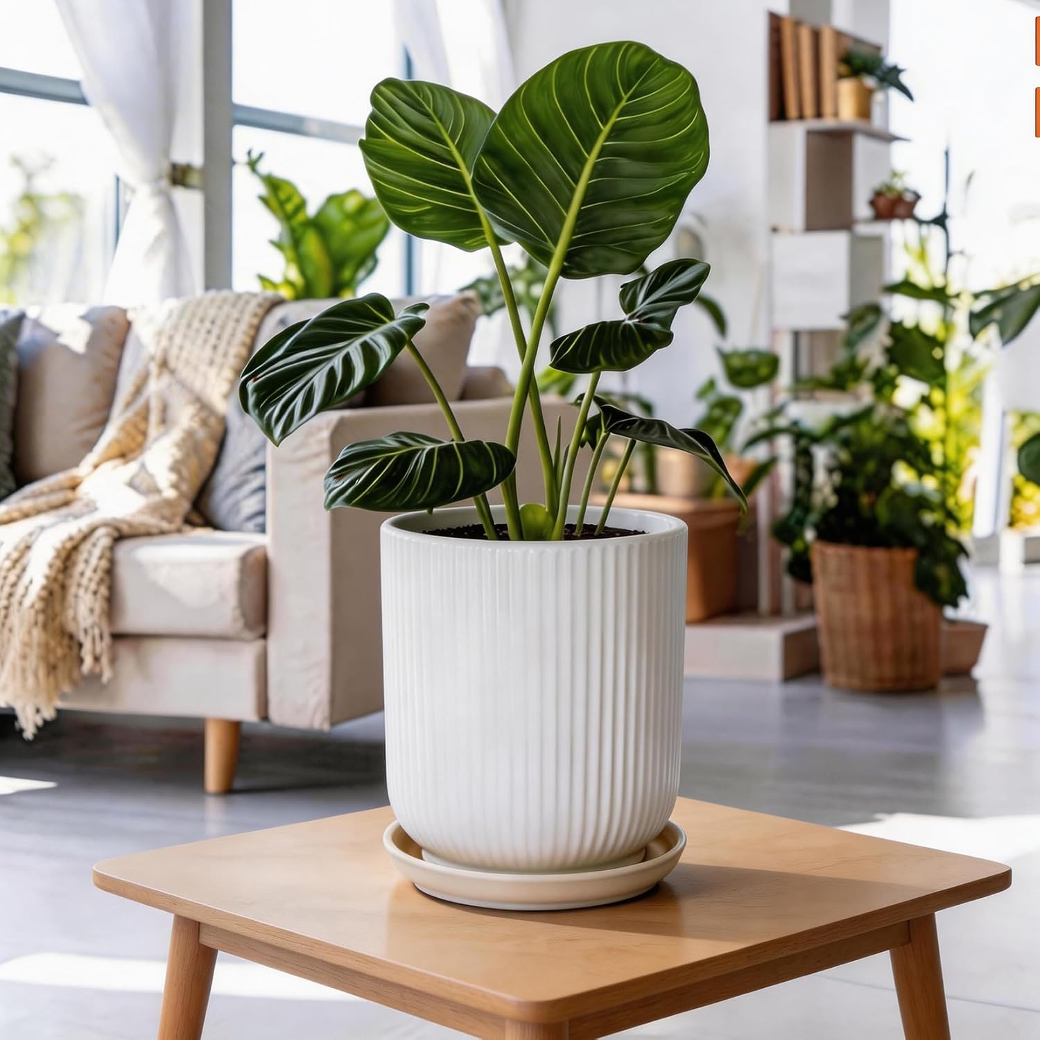 Detalle de Deep Dream STW-8in-Planters-White 8-Inch Ceramic Planter with Drainage and Saucer