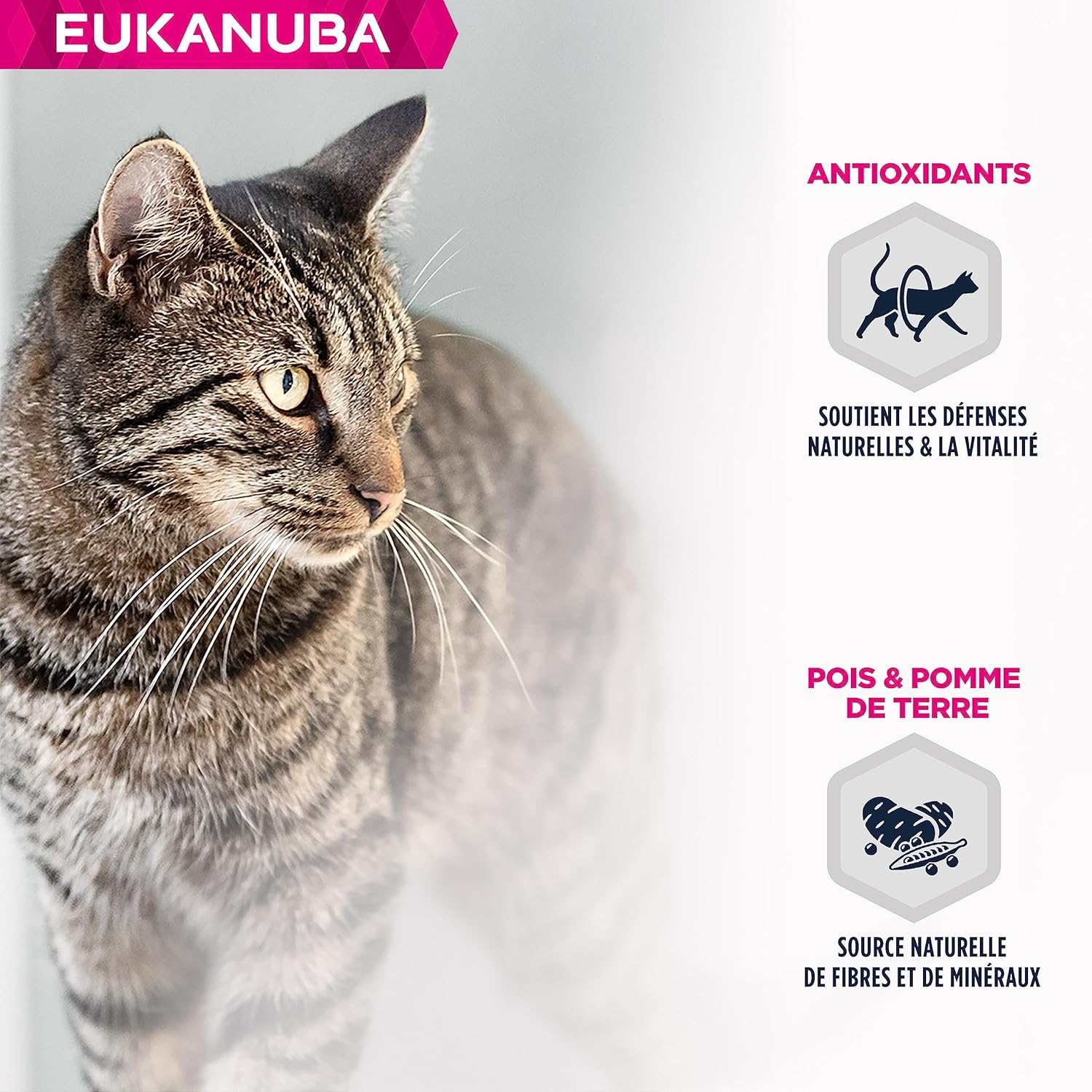 Thumbnail 4 de EUKANUBA Grain Free Croquettes pour Chat Senior au saumon – 10 kg