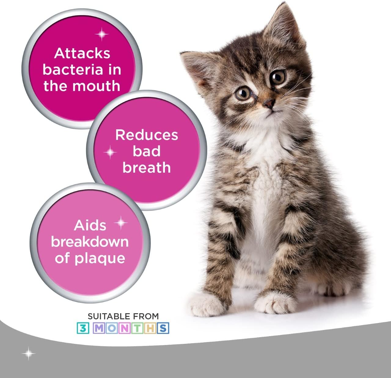 Detalle de Logic Oral Hygiene Gel For Dogs & Cats with Toothbrush & Paste — 70g Dog & Cat Toothpaste