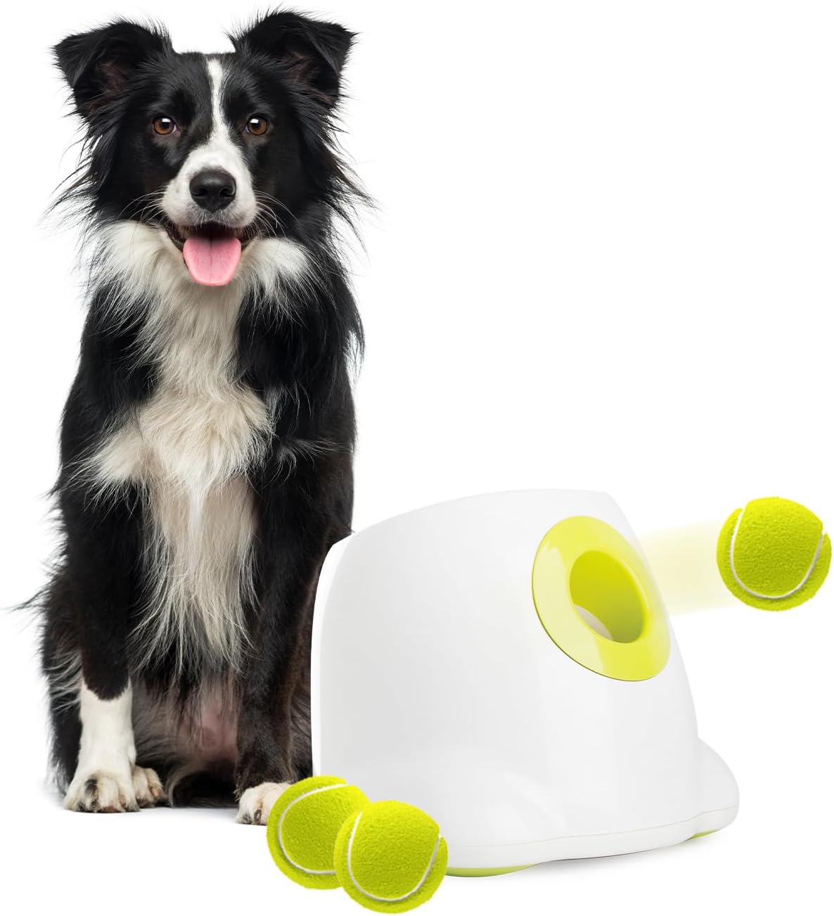 Detalle de ALL FOR PAWS automatischer Hundeballwerfer – wiederaufladbar mit 3 Tennisbällen (für große Hunde)