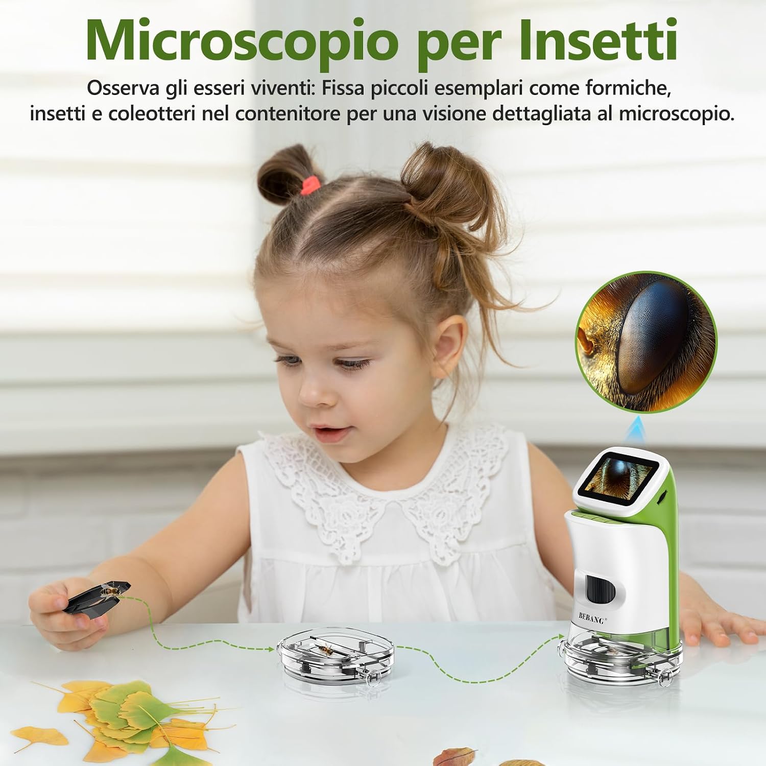 Thumbnail 2 de Microscopio digitale 1000X per bambini