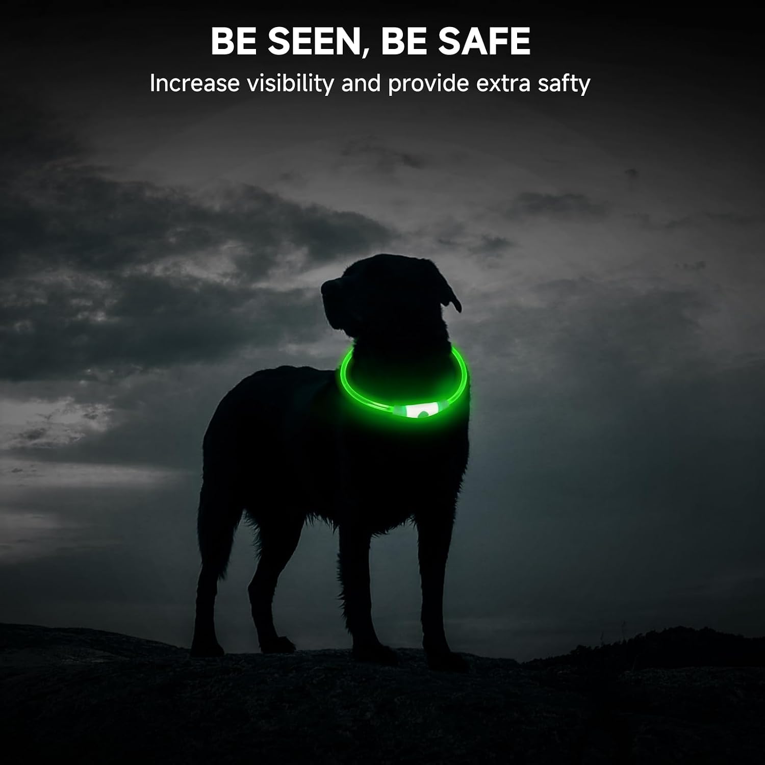 Thumbnail 5 de Cocodonut Light Up Dog Collar 70cm