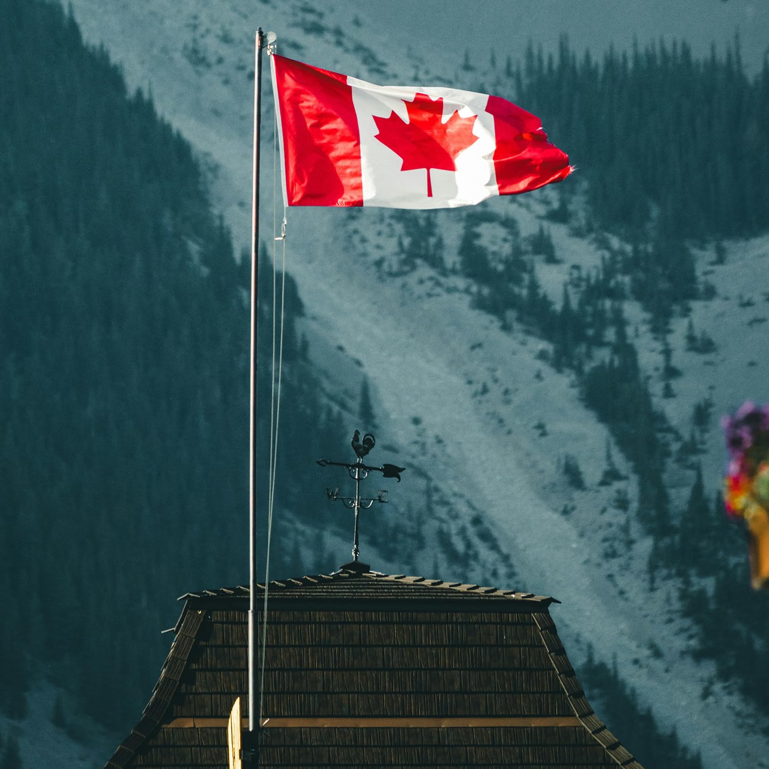 Detalle 2 de KENPMA 3x6 ft Canadian Flags, 100D Polyester, Double-Stitched with Brass Grommets