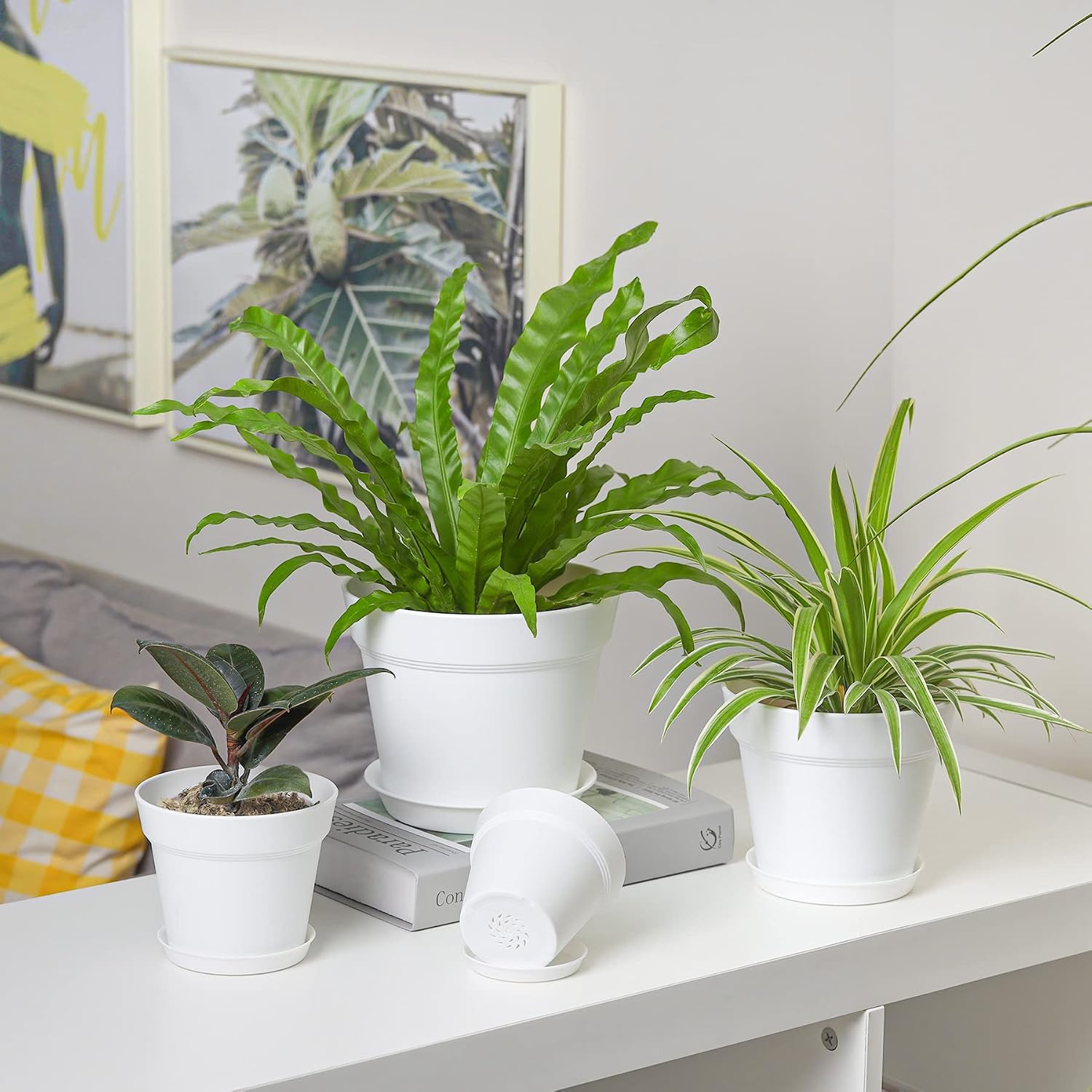 Detalle 2 de T4U 17.5cm plastic plant pots 6 pack