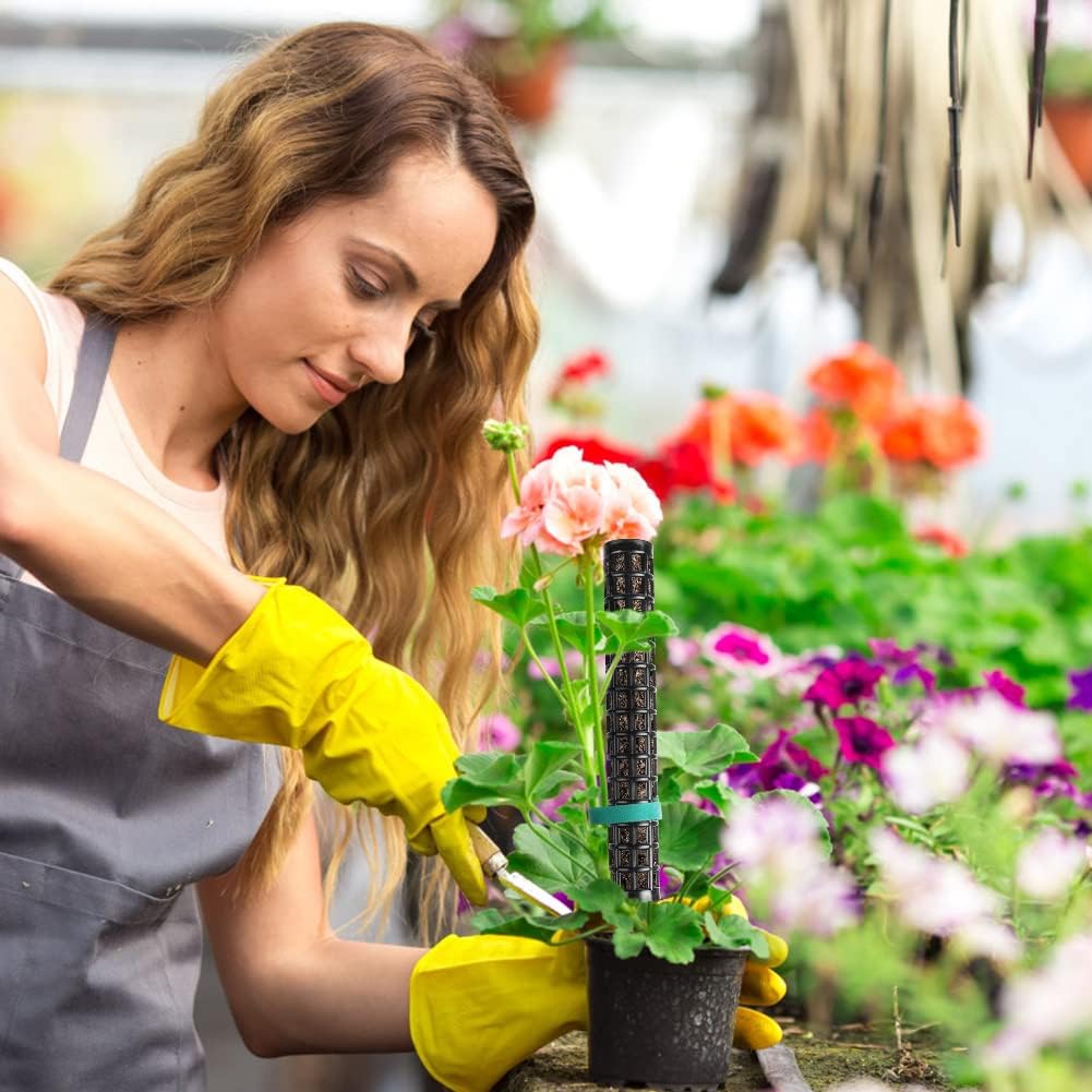 Detalle 2 de OFFCUP Moosstab Pflanzstab – 4er-Set als Monstera Rankhilfe mit Etiketten & Klettverschluss