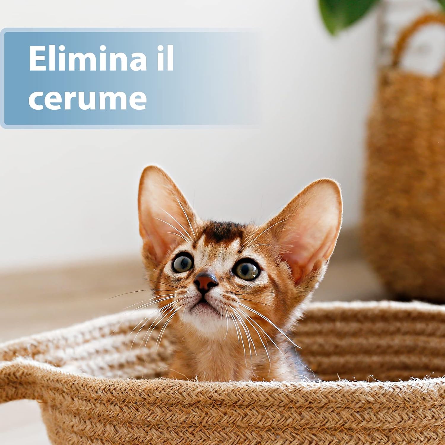 Detalle 2 de Felisept Salviette Da Dito per la Cura delle Orecchie per Gatti – 50 Pezzo