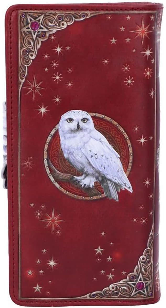 Thumbnail 2 de Nemesis Now Magical Flight Embossed Purse (18.5cm) in Red