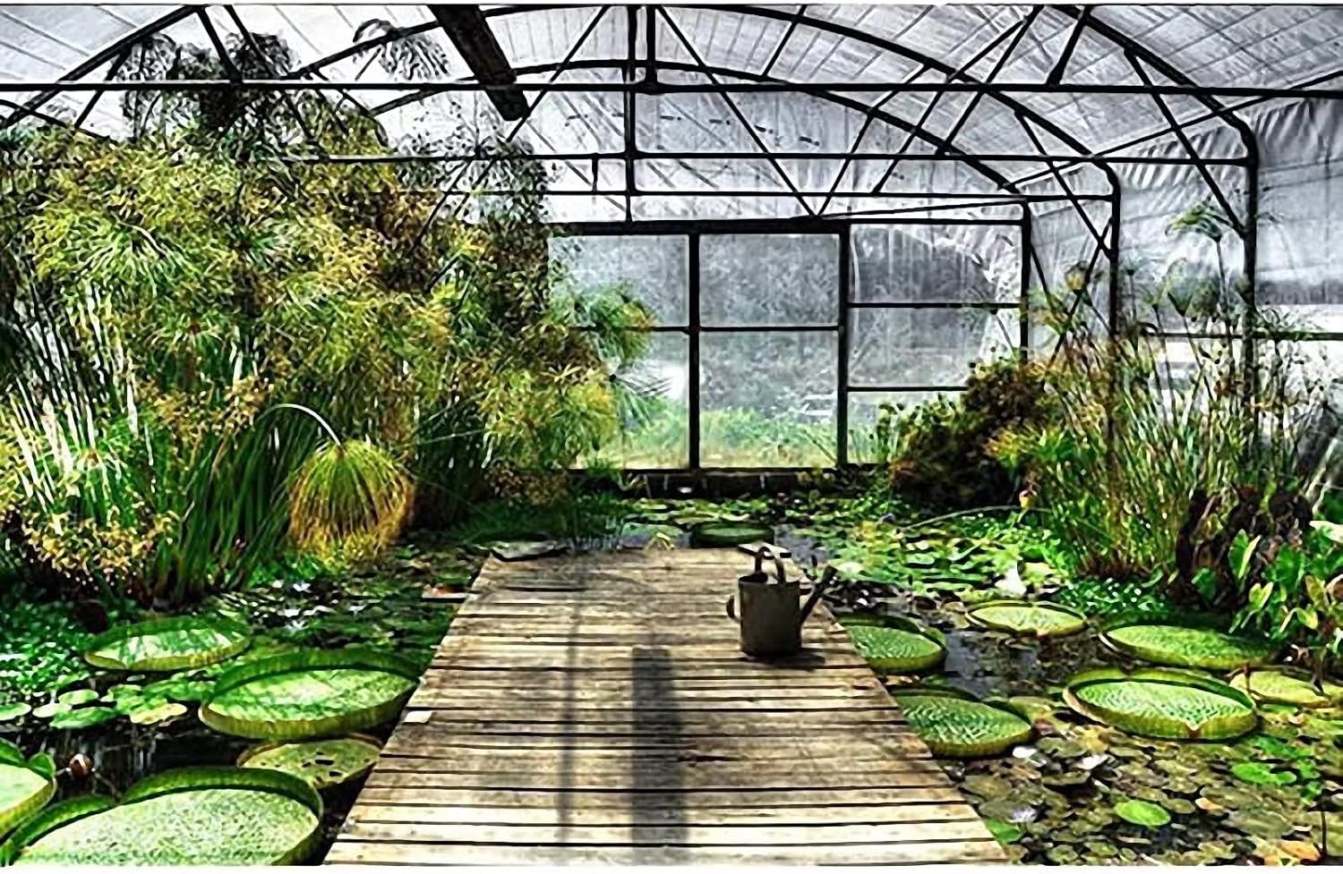 Thumbnail 6 de QOFLY telone impermeabile trasparente con occhielli grandi 98x131 FT (3x4 m)