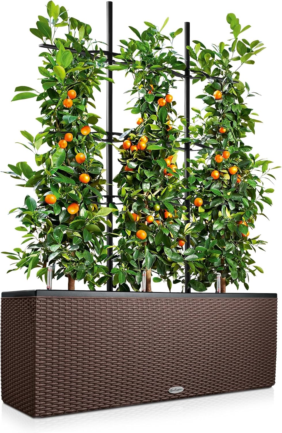 Thumbnail 1 de LECHUZA TRIO Cottage 30 mokka 15005 – All-in-One Pflanzgefäß mit Bewässerungssystem