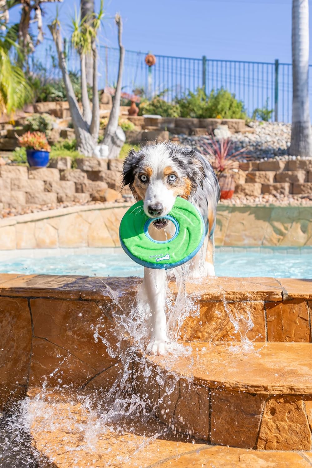 Thumbnail 1 de Chuckit Zipflight Taille M frisbee pour chien