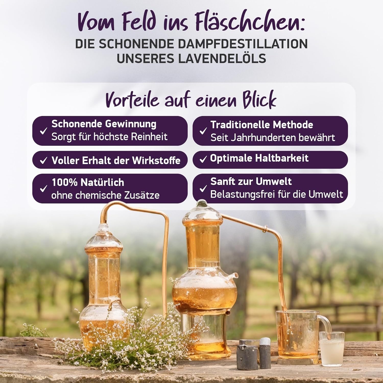 Detalle de BIO Lavendelöl Ätherisches Öl – 100% naturrein, BIO-zertifiziert, Lavendula Angustifolia