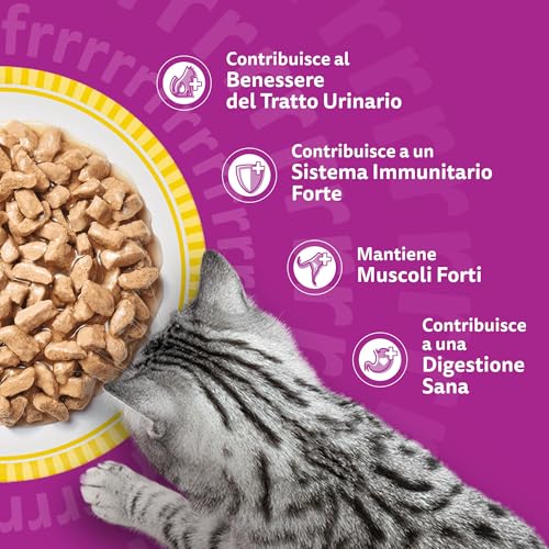 Detalle de Whiskas Pranzetti Cibo Umido in Salsa per Gatti adulti Senior 7+ Pollame – Confezione da 12 porzioni
