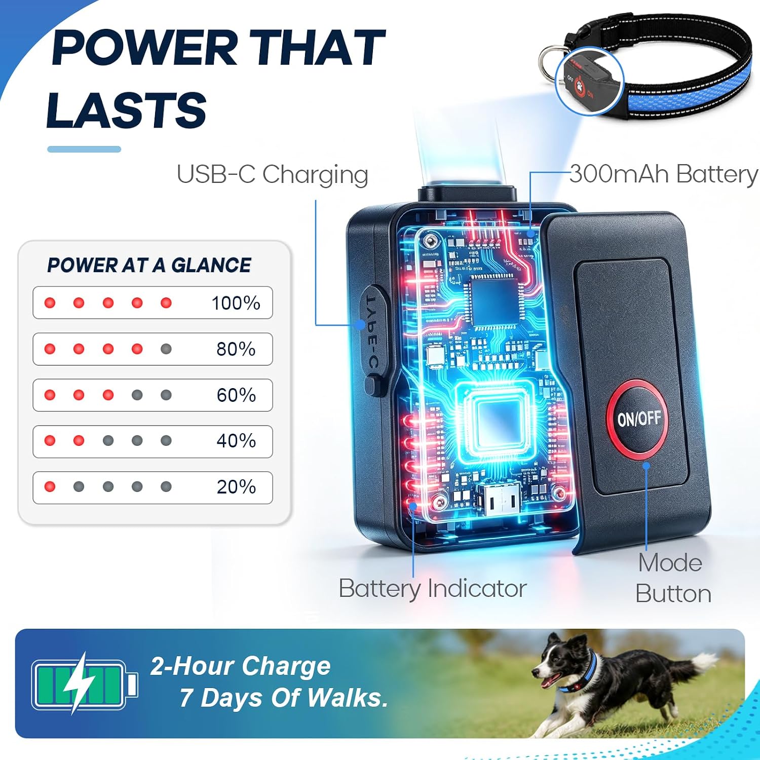 Detalle 2 de Bamda Light-Up Dog Collar, Blue