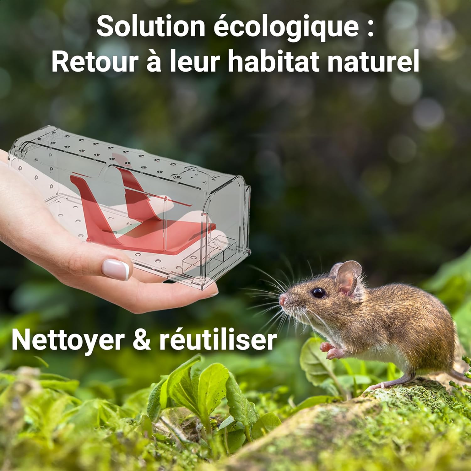 Detalle de Roshield 4 x Pièges à Souris sans cruauté – Capture vivante, réutilisables, intérieur et extérieur