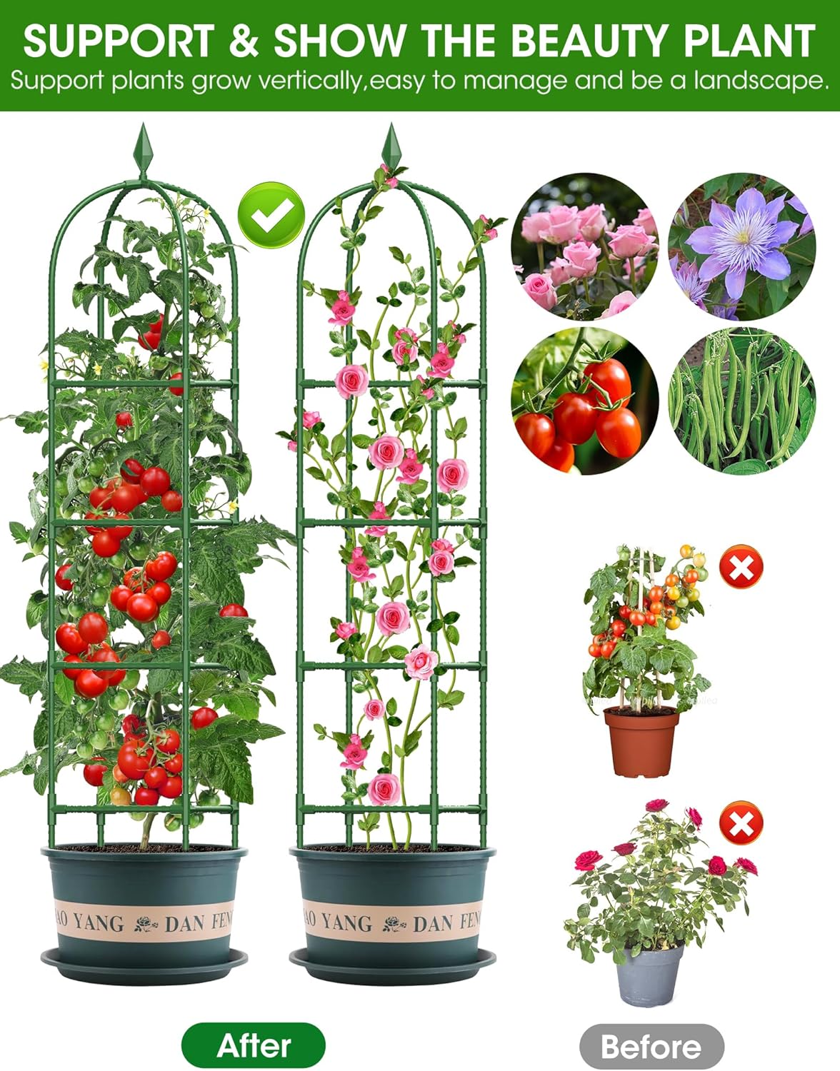 Thumbnail 3 de Garden Obelisks Trellis for Climbing Plants – 1.8m Height, Metal Rustproof Support