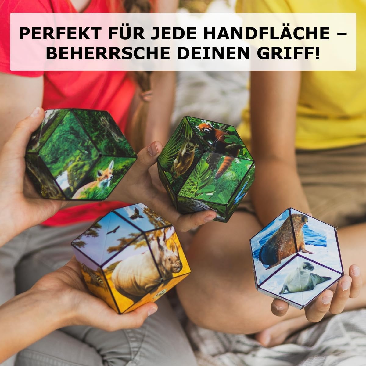 Thumbnail 4 de Shashibo Formwechsel-Box mit 36 Seltenerdmagneten – patentierter Zappelwürfel mit über 100 Formen (Forest)